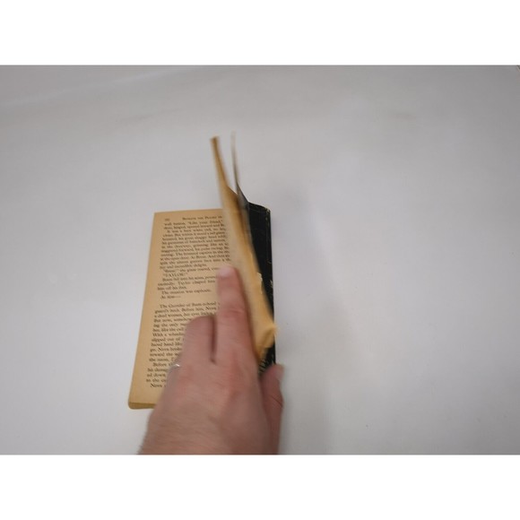 Beneath The Planet of the Apes Michael Avallone 1970 Bantam Paperback Book Club - Picture 12 of 13